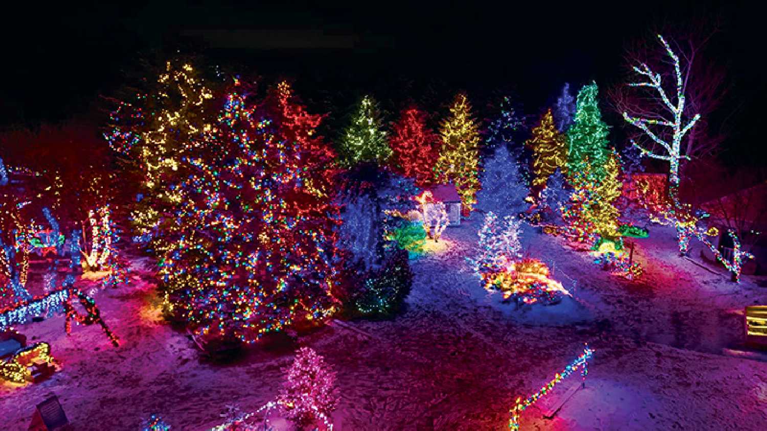 Part of the Ian�s Lights Christmas light display south of McLean.